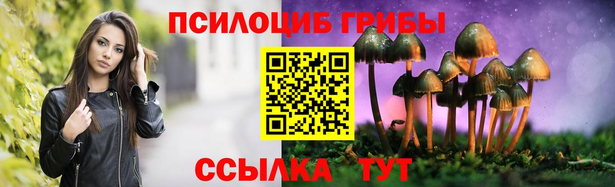 Псилоцибиновые грибы мицелий  Вход с VPN  Псилоцибиновые грибы Psilocybine cubensis  Сыктывкар 