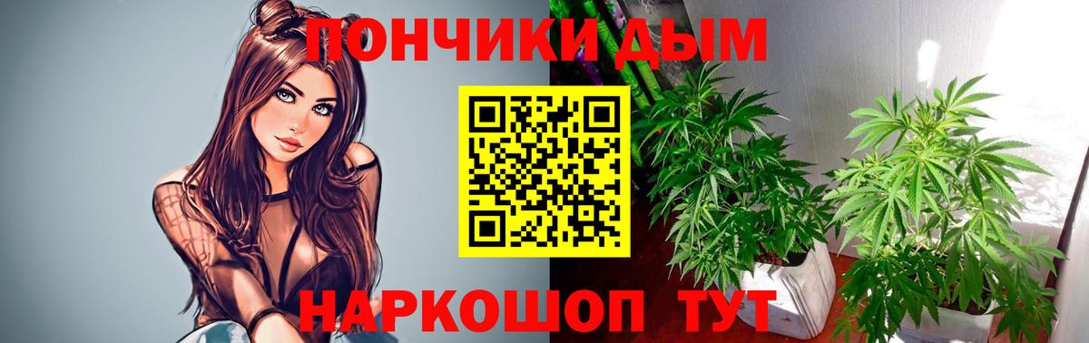 Конопля Bruce Banner  Шишки марихуана VHQ  Марихуана конопля  Сыктывкар  Вход с VPN 